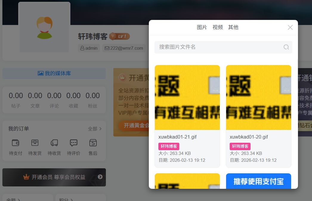 子比主题-媒体管理插件-轩玮博客|探索建站技术，分享专业见解IT博客轩玮博客