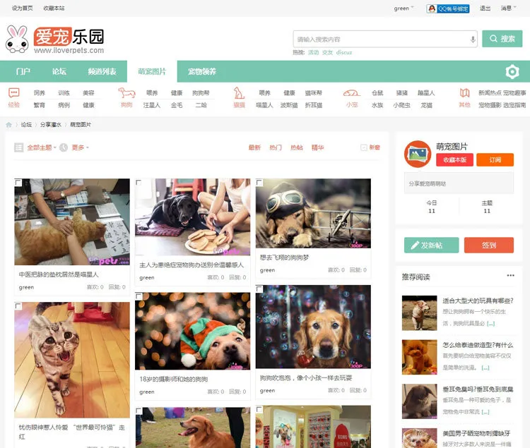 discuz迪恩宠物社区模板 宠物论坛网站源码