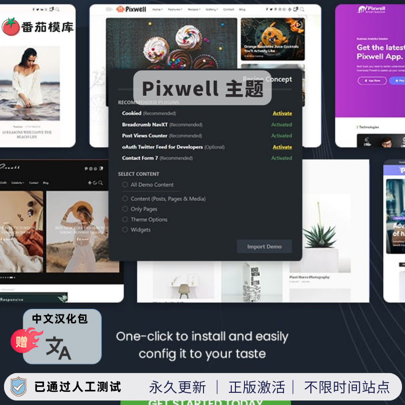 Pixwell WordPress杂志主题汉化版 一键导入演示 支持食谱电商Elementor Core Web Vitals优化轩玮博客-探索建站技术，分享专业见解IT博客轩玮博客