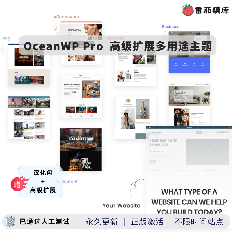 OceanWP Pro主题WordPress建站模板 汉化版含Elementor演示 一键导入电商博客企业官网-专注于各种精品源码阿七源码
